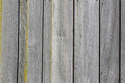 Gray wooden textured siding background featuring texture, abstract, and