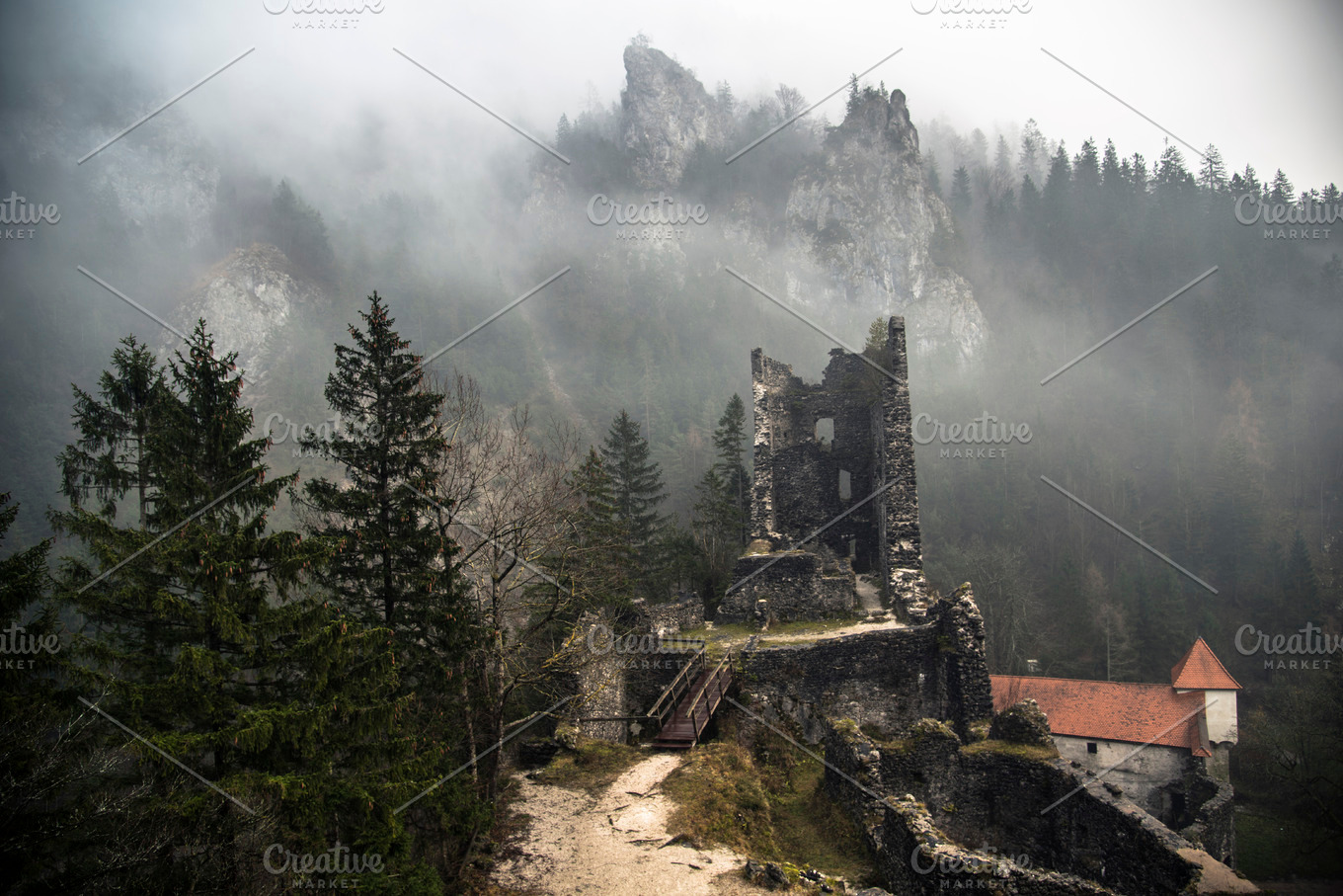 Abandoned castle ruins in the forest featuring castle, ruins, and ...