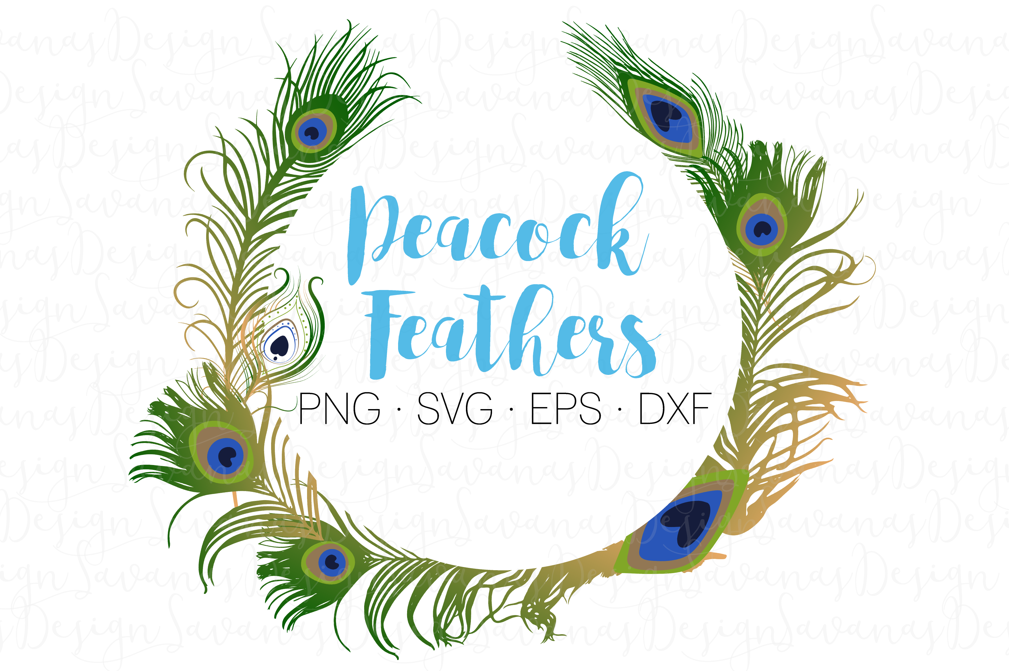 Peacock Feathers Pre Designed Illustrator Graphics Creative Market