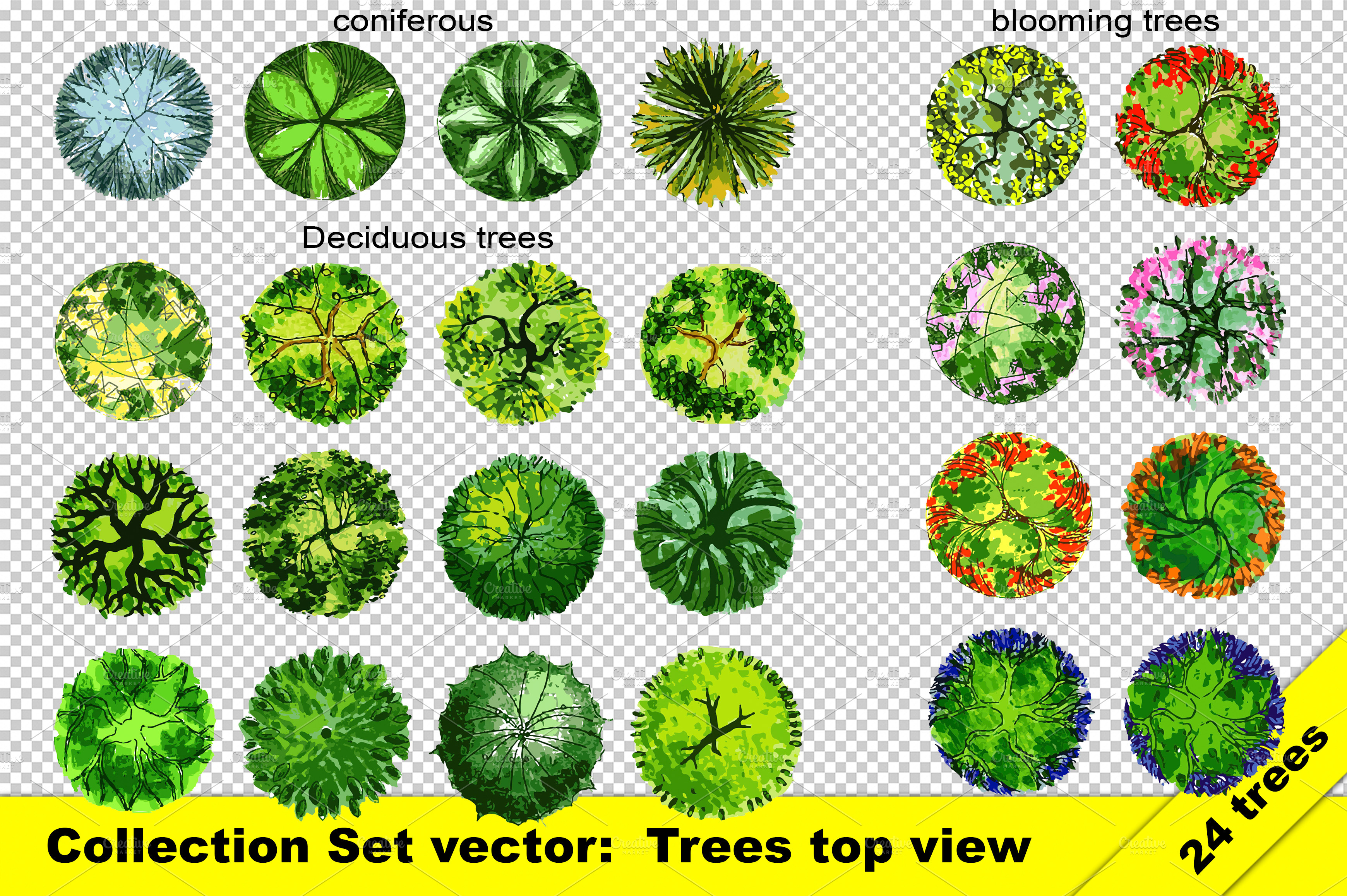 set of top view trees vector and png custom designed graphic objects creative market set of top view trees vector and png