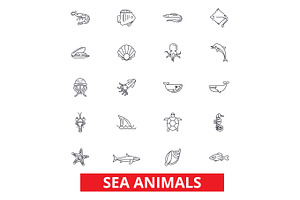 Sea Animals Vectors and Clipart | Pre-Designed Illustrator Graphics