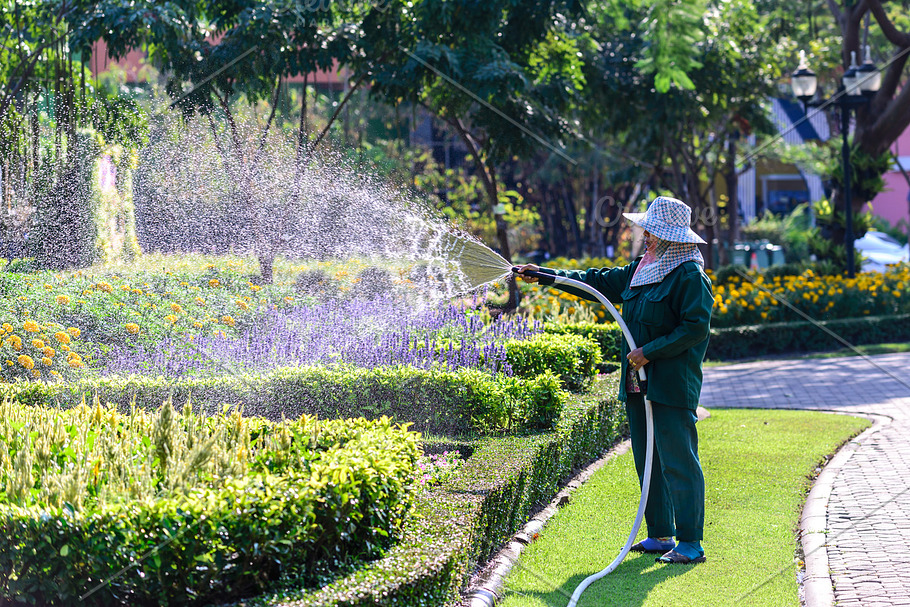 Gardener watering for plant. HighQuality People Images Creative Market