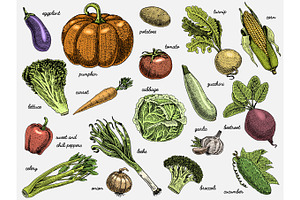 set of hand drawn, engraved vegetables, vegetarian food, plants