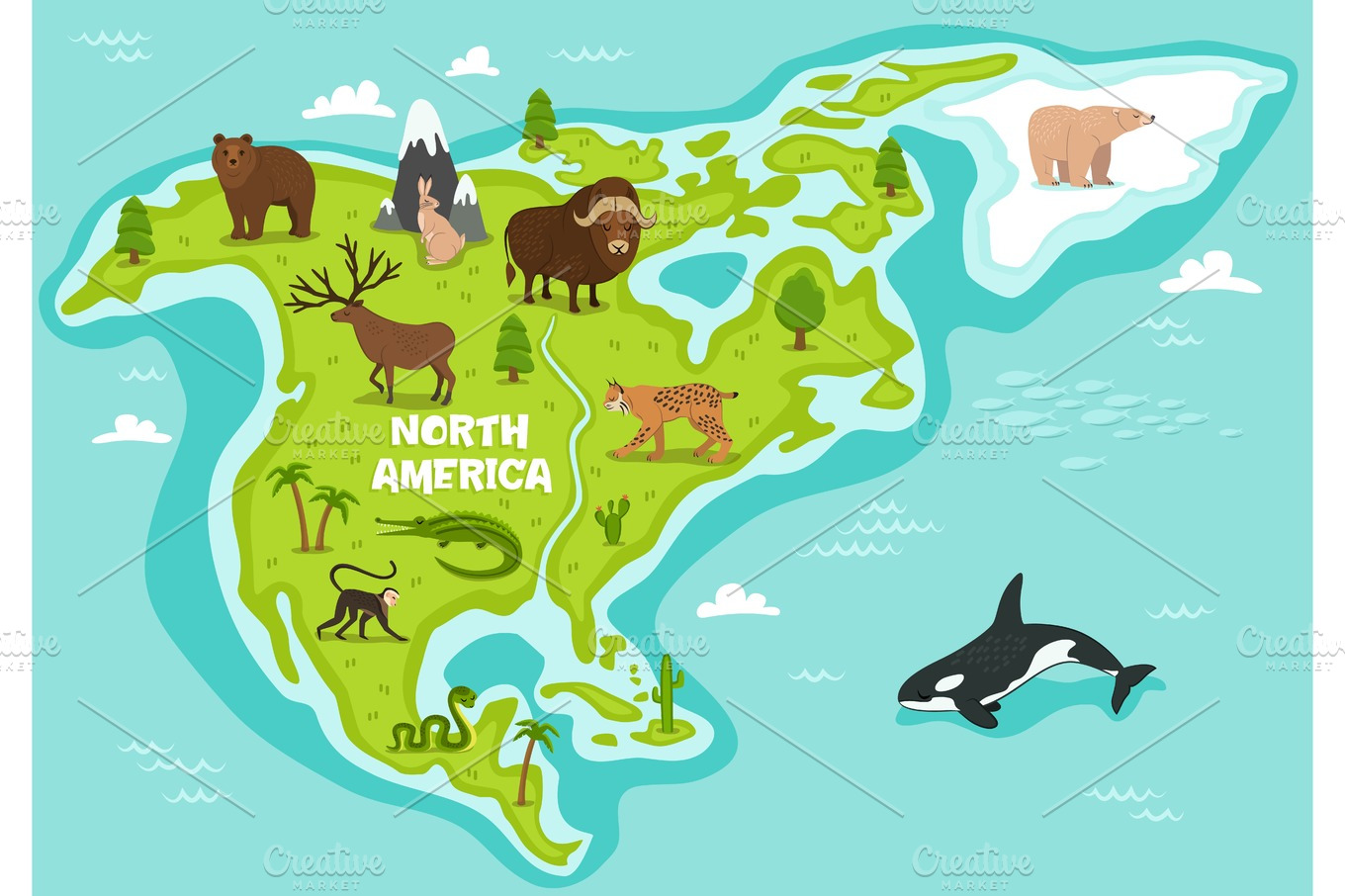 North american map with wildlife animals | Animal Illustrations