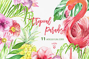 Tropical Clipart -Tropical Paradise | Illustrations ~ Creative Market