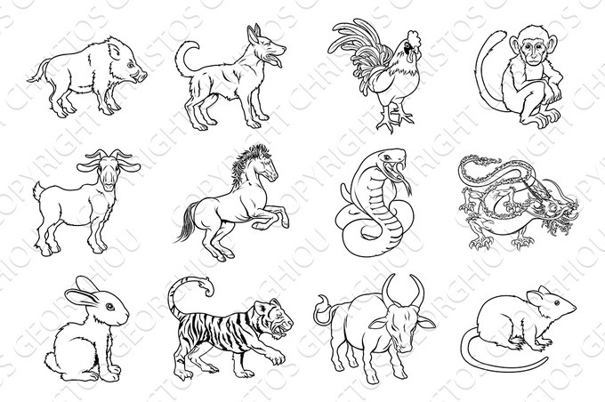 Chinese Zodiac Signs | Animal Illustrations ~ Creative Market