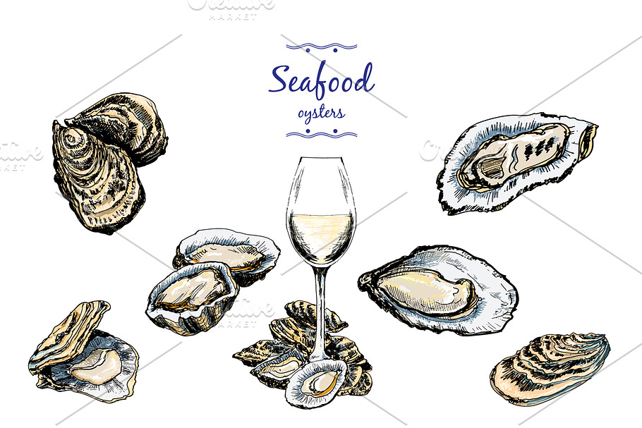 Oysters. Set of vector | Pre-Designed Illustrator Graphics ~ Creative