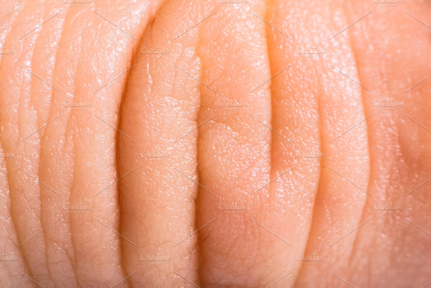 Close Up Human Skin Macro Epidermis Featuring Abstract Anatomy And