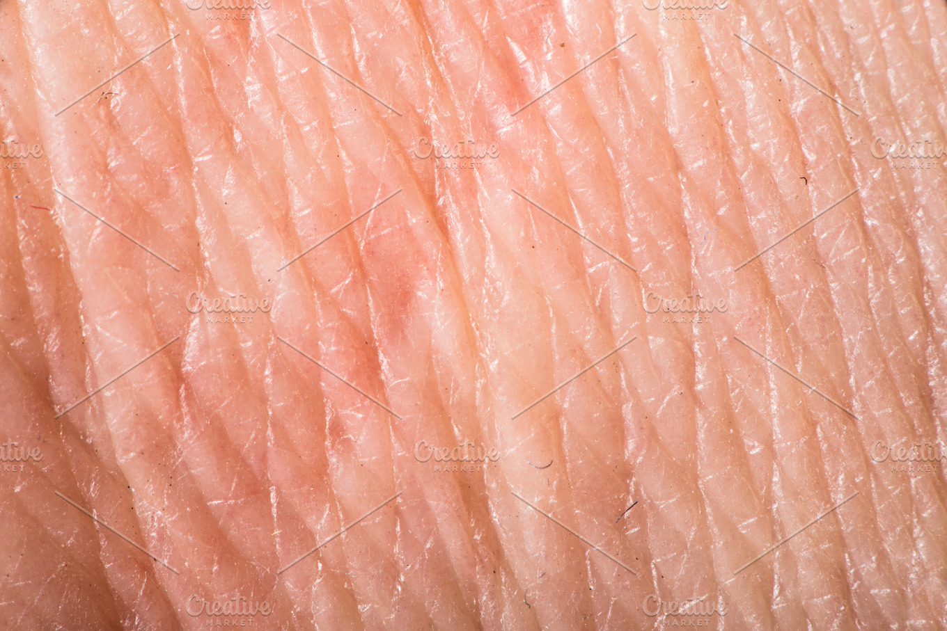 Texture Of Human Skin Stock Photo Containing Skin And Human | High