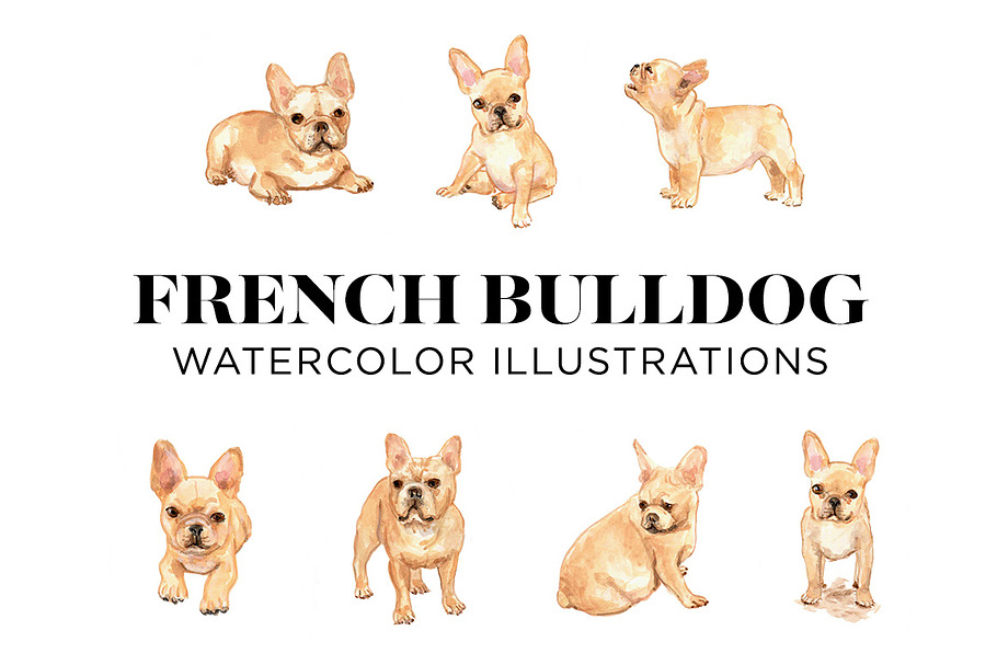 Black and White French Bulldogs | Custom-Designed Illustrations ...