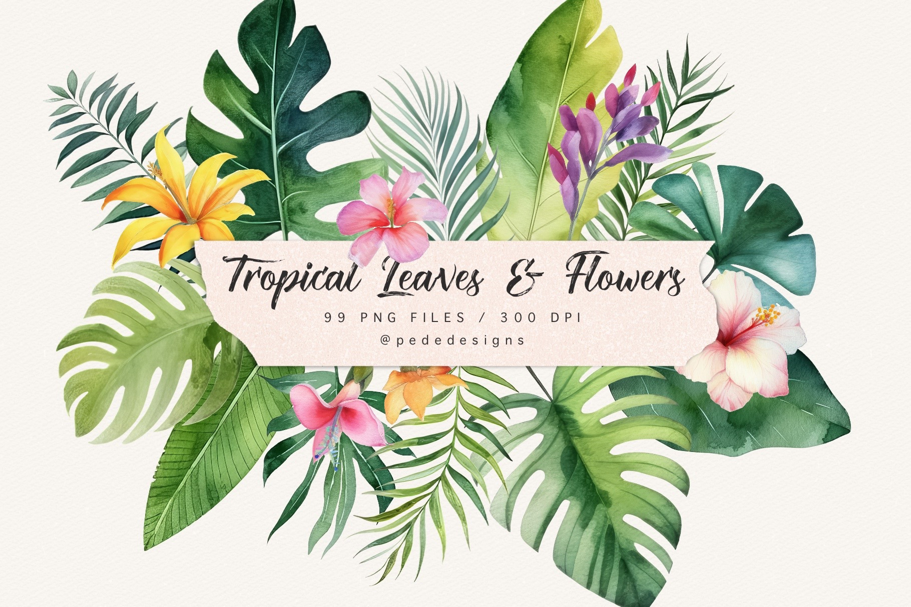 Tropical Leaves & Flowers | Decorative Illustrations ~ Creative Market