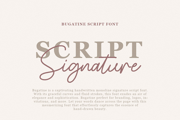 Baxter, an Elegant Script Font  Handwriting Fonts ~ Creative Market