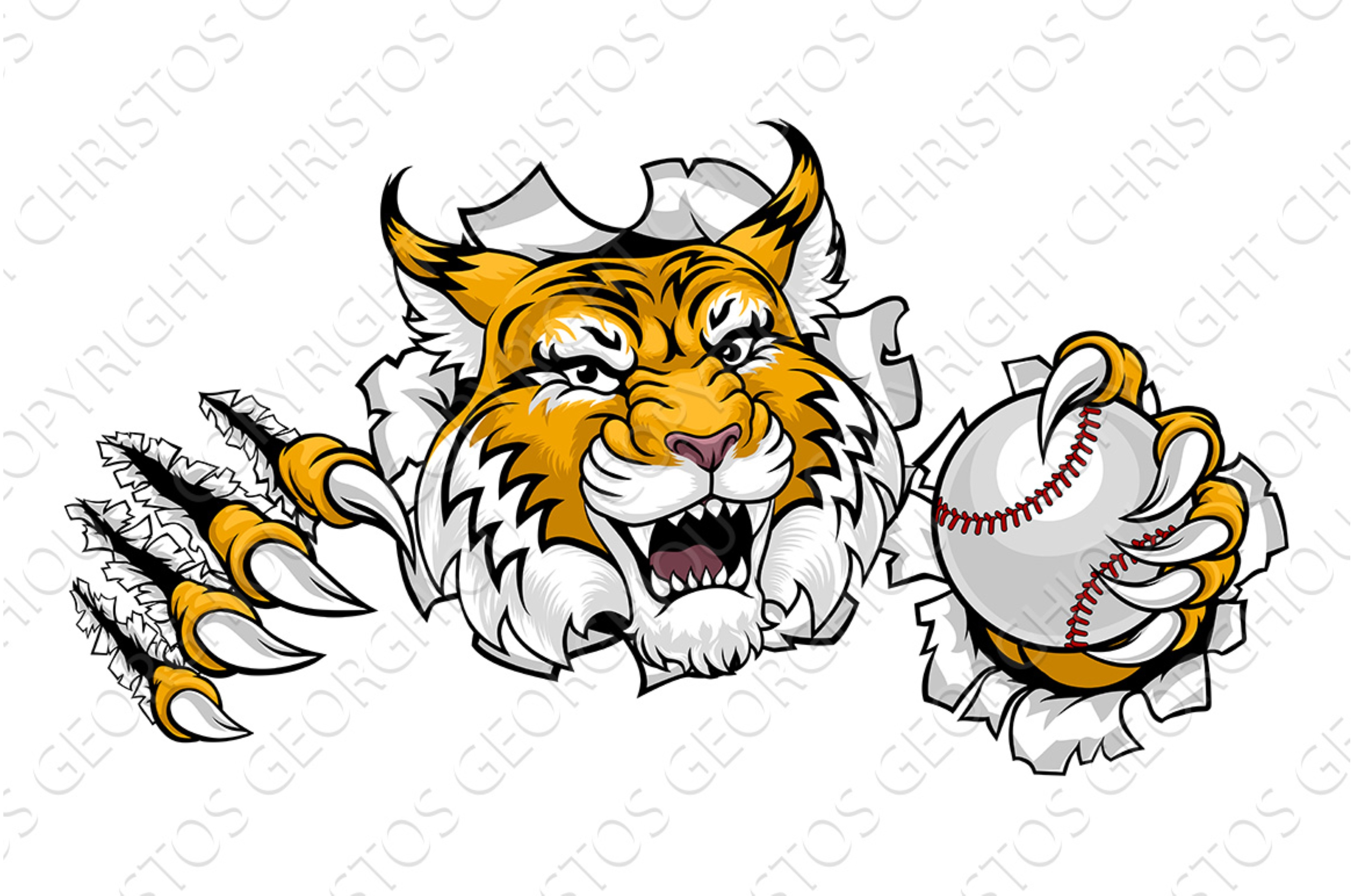 Wildcat Bobcat Baseball Ball Animal | Illustrations ~ Creative Market