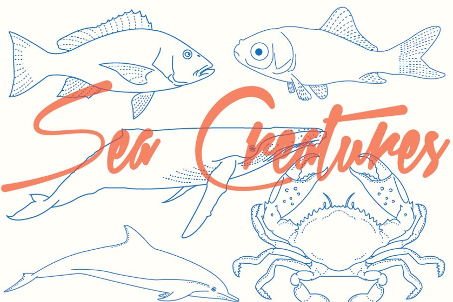 Sea Creatures Vectors | Pre-Designed Illustrator Graphics ~ Creative Market