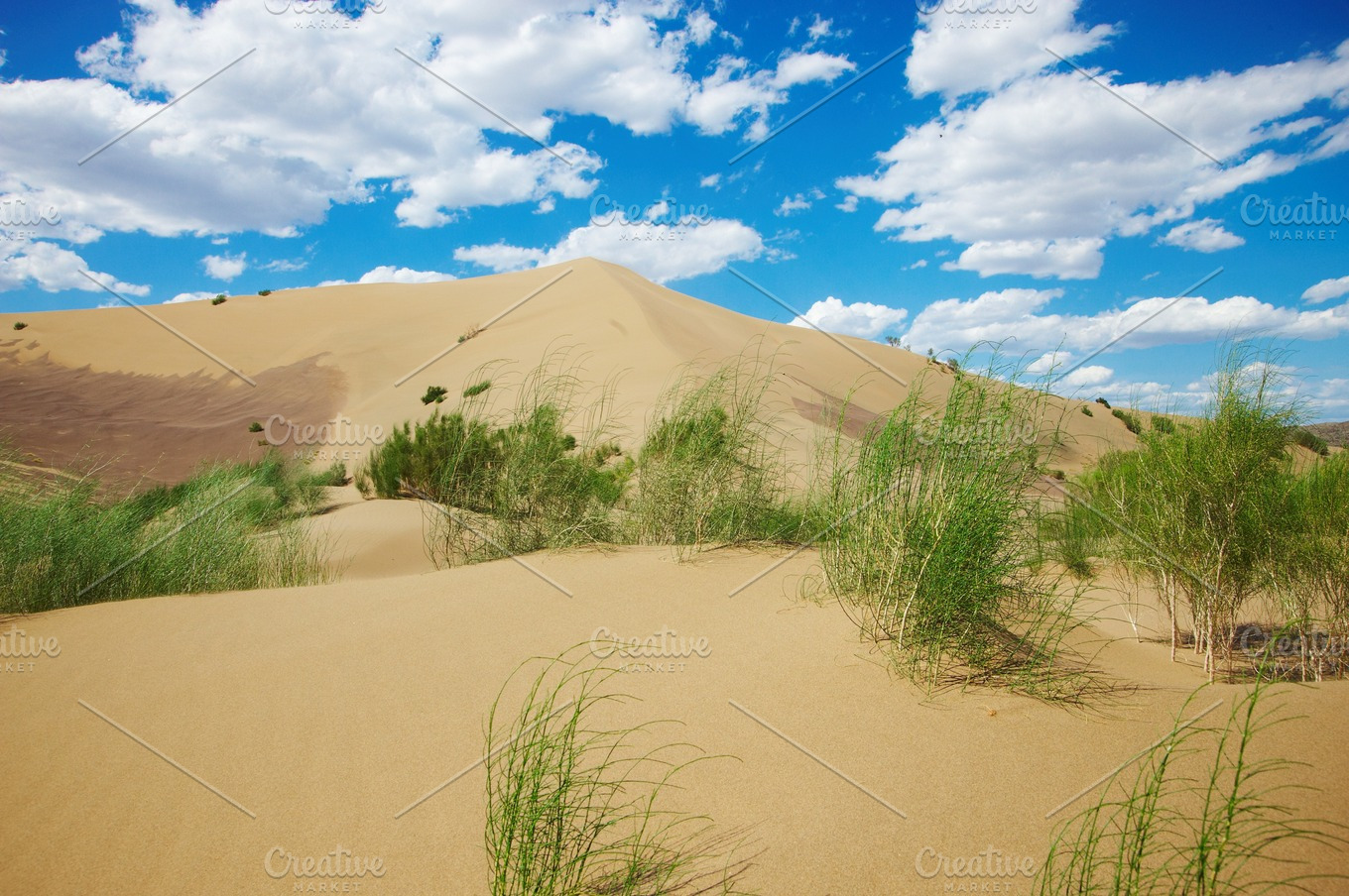 Hot sandy desert | High-Quality Stock Photos ~ Creative Market