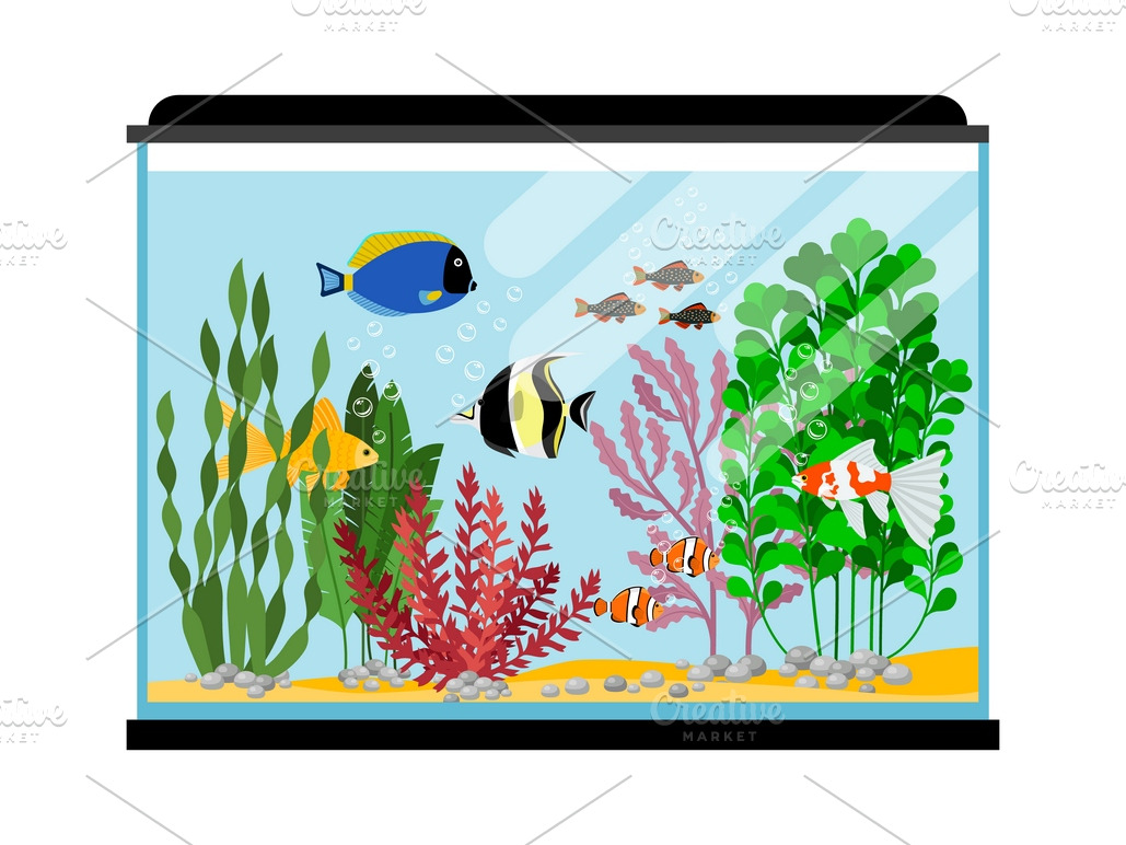 Cartoon fishes in aquarium | Pre-Designed Illustrator Graphics