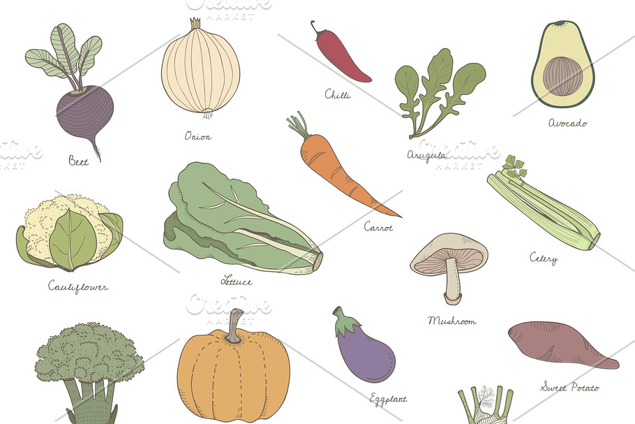 Different kinds of vegetables | Pre-Designed Illustrator Graphics