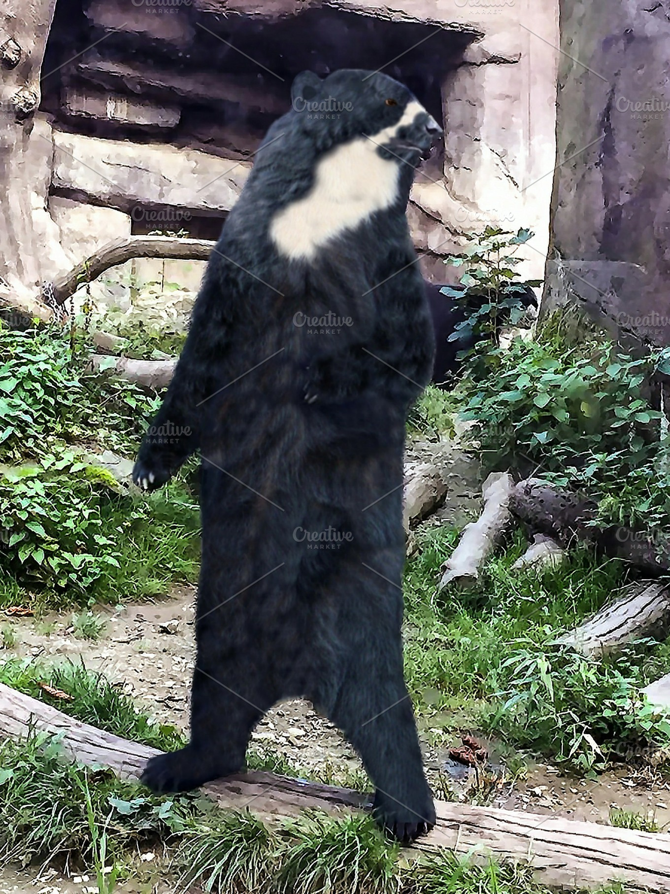 black bear standing mount