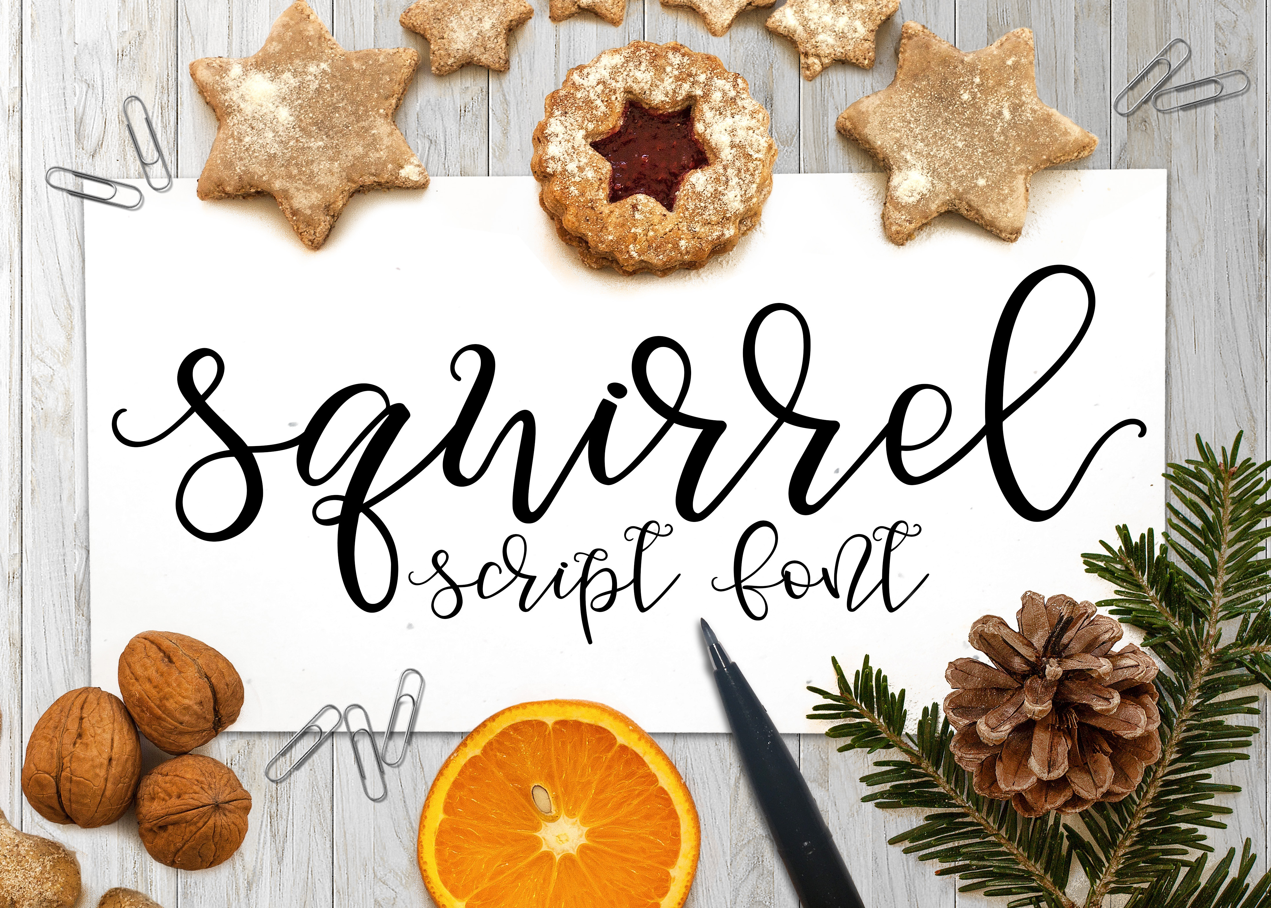 squirrel-script-script-fonts-creative-market