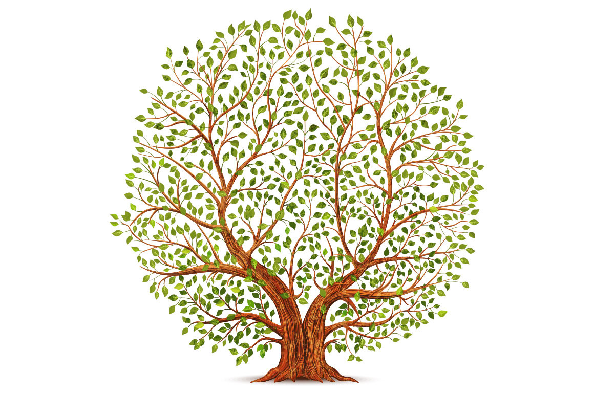 Old tree vector illustration | Pre-Designed Photoshop Graphics