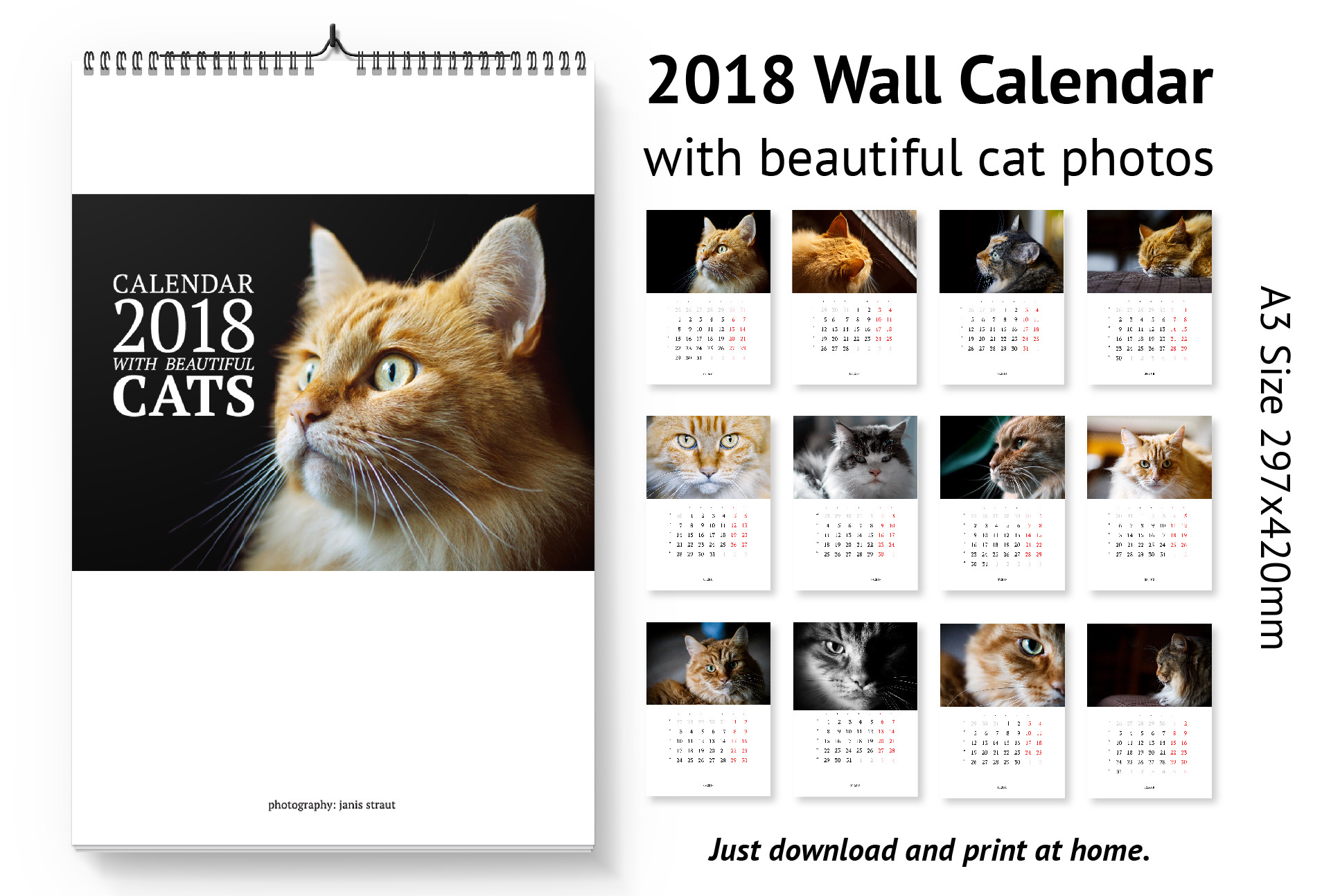 Calendar A3 for 2018 with cats. | Stationery Templates ~ Creative Market