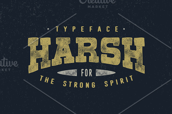 Harsh Typeface Stunning Display Fonts Creative Market