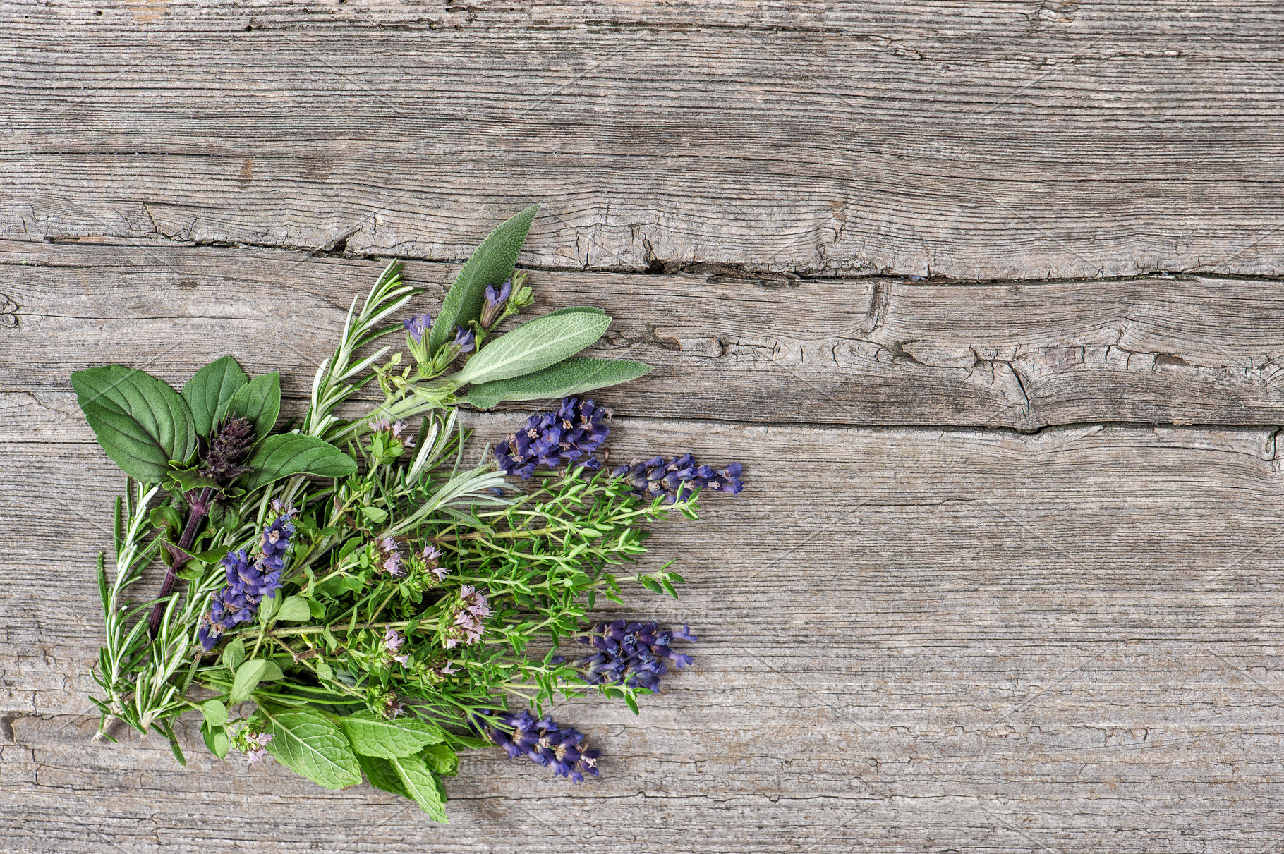 Bundle Of Fresh Herbs High Quality Food Images ~ Creative Market