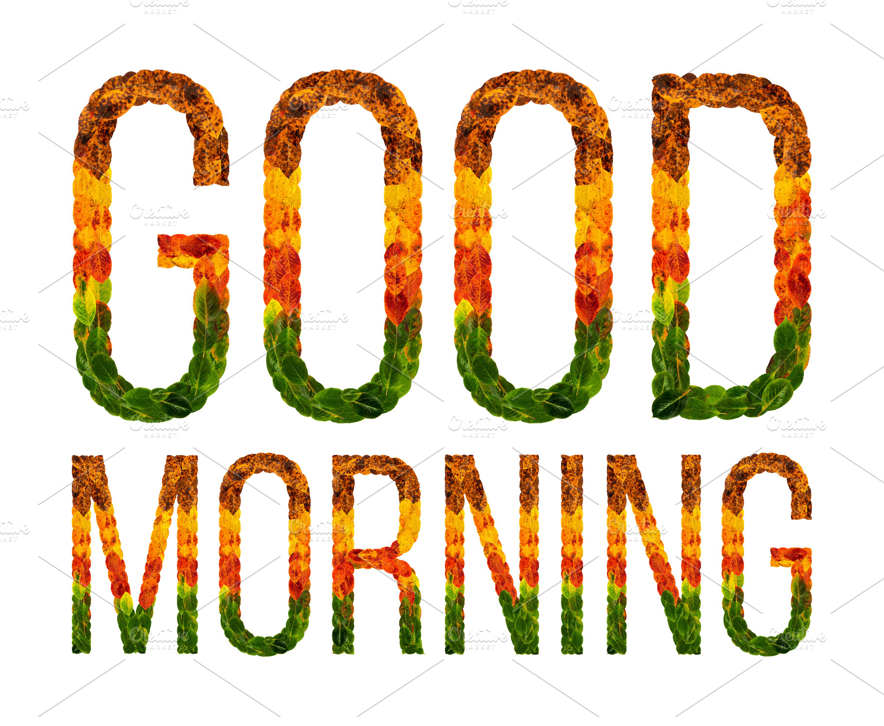 word-good-morning-written-with-leaves-white-isolated-background-banner