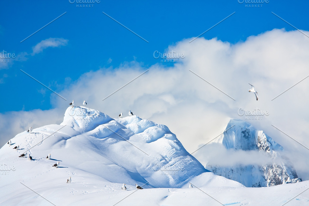 Snow capped перевод