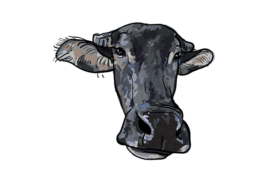 Drawing of buffalo head | Pre-Designed Illustrator Graphics ~ Creative