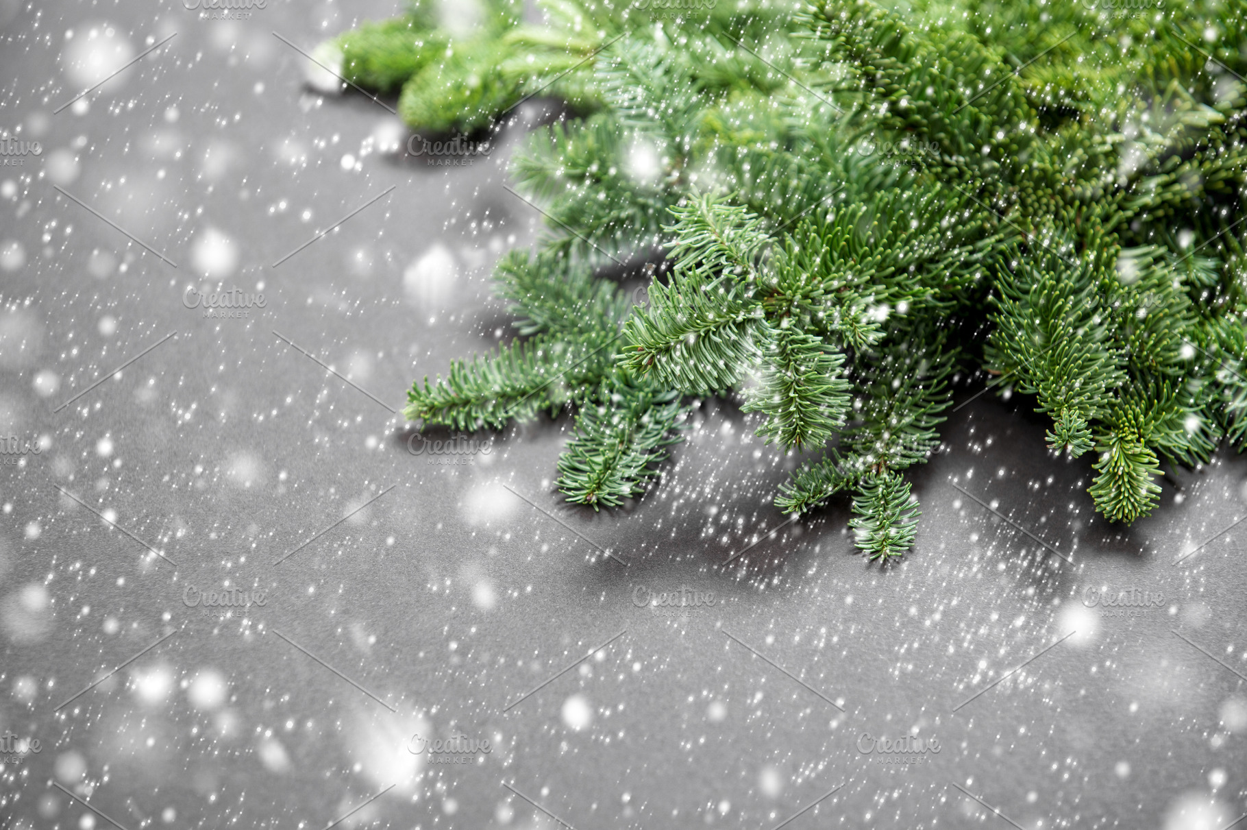 christmas-tree-branches-in-snow-featuring-branches-christmas-and-snow