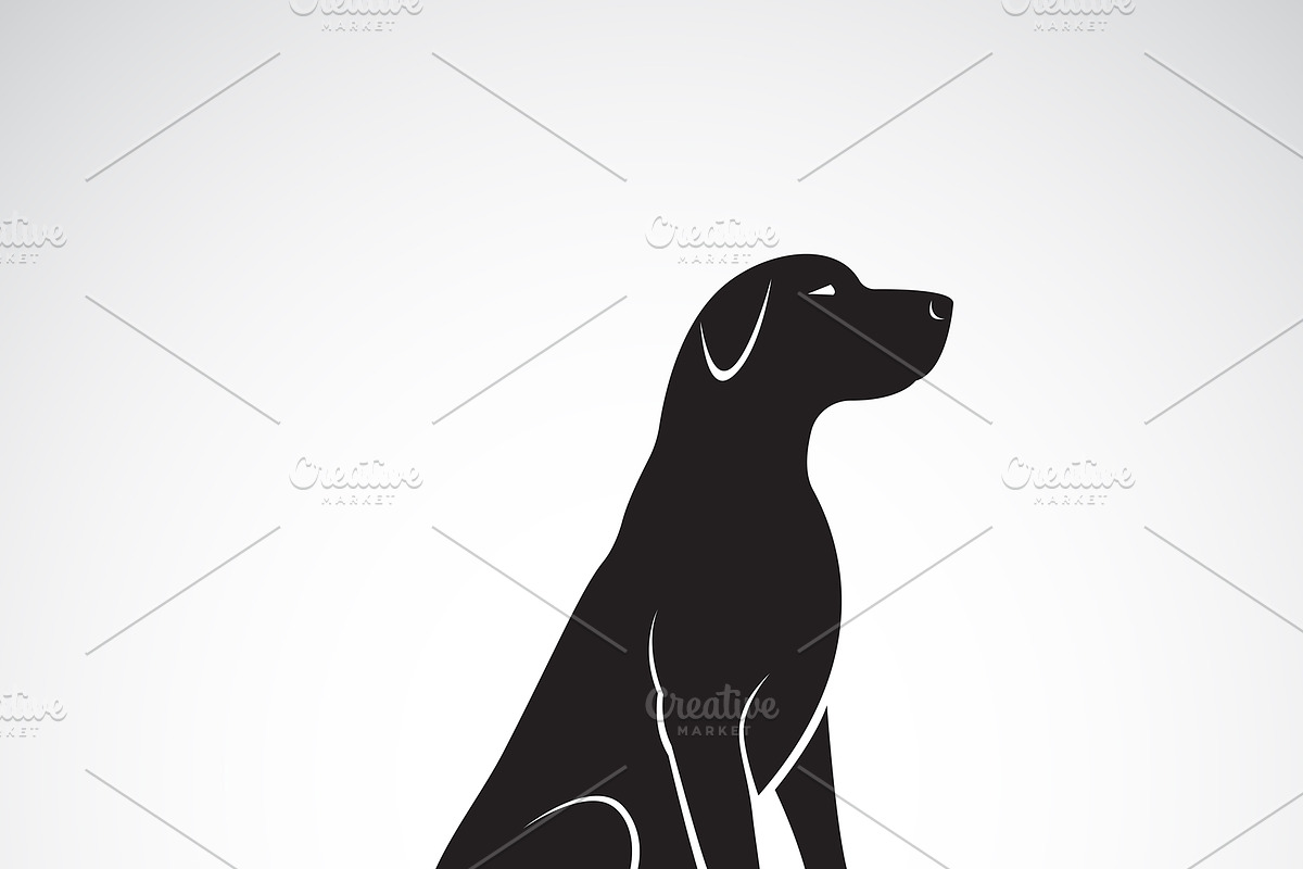 Vector of a labrador retriever dog. | Pre-Designed Illustrator Graphics