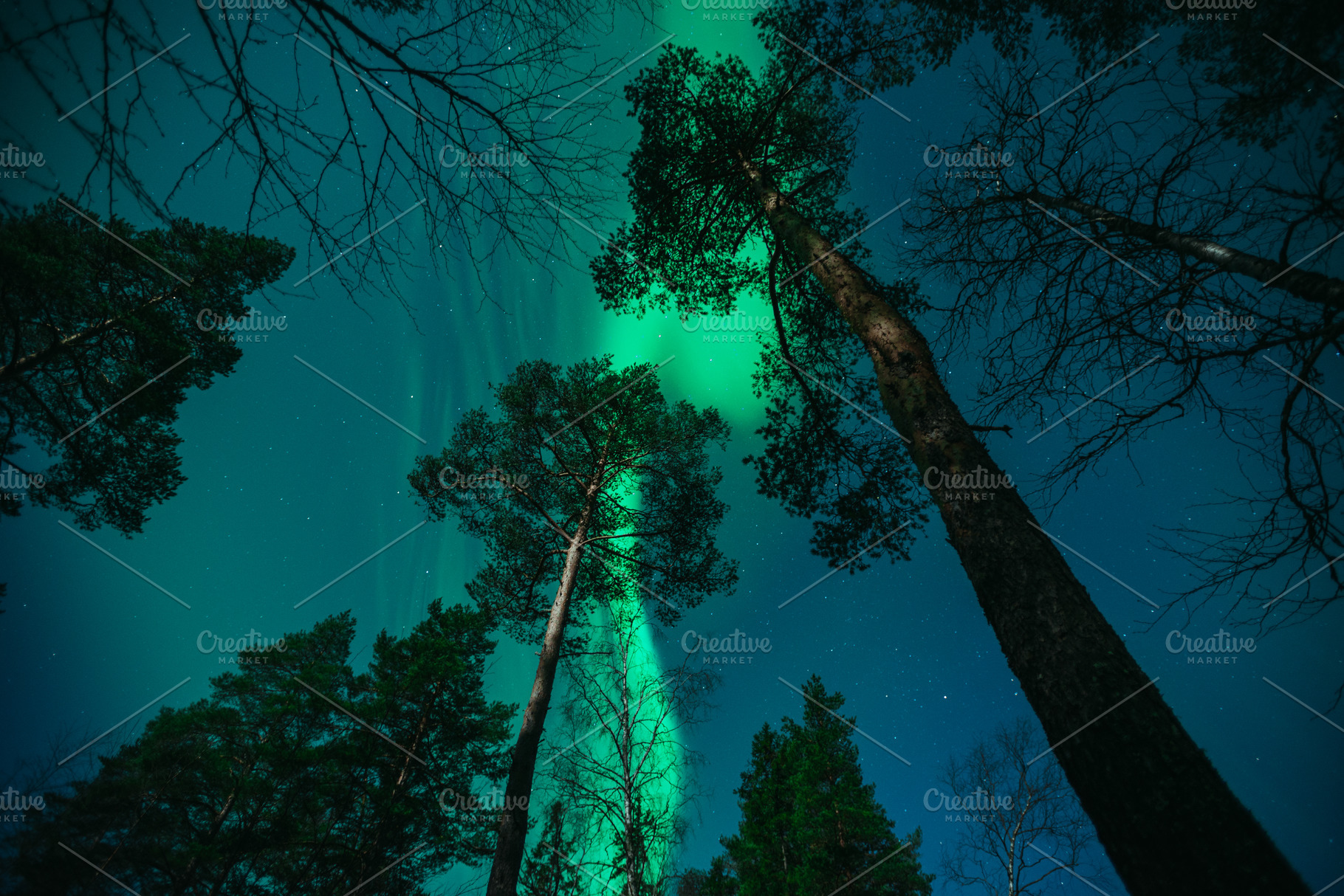 Northern Lights above Forest | Stock Photos ~ Creative Market