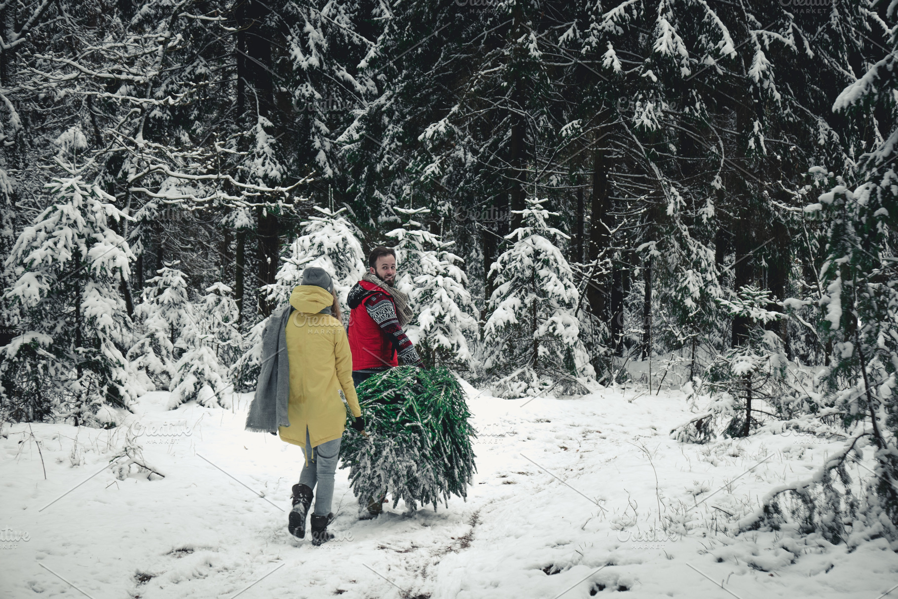 Couple picking christmas tree featuring christmas, tree, and forest