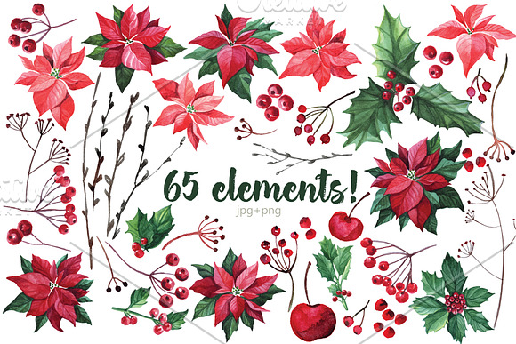 Christmas Flowers Watercolor Images – Browse 78,527 Stock Photos