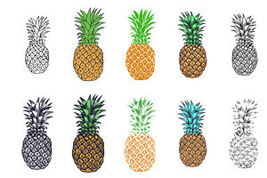 Pineapple emblem, label, symbol | Pre-Designed Illustrator Graphics