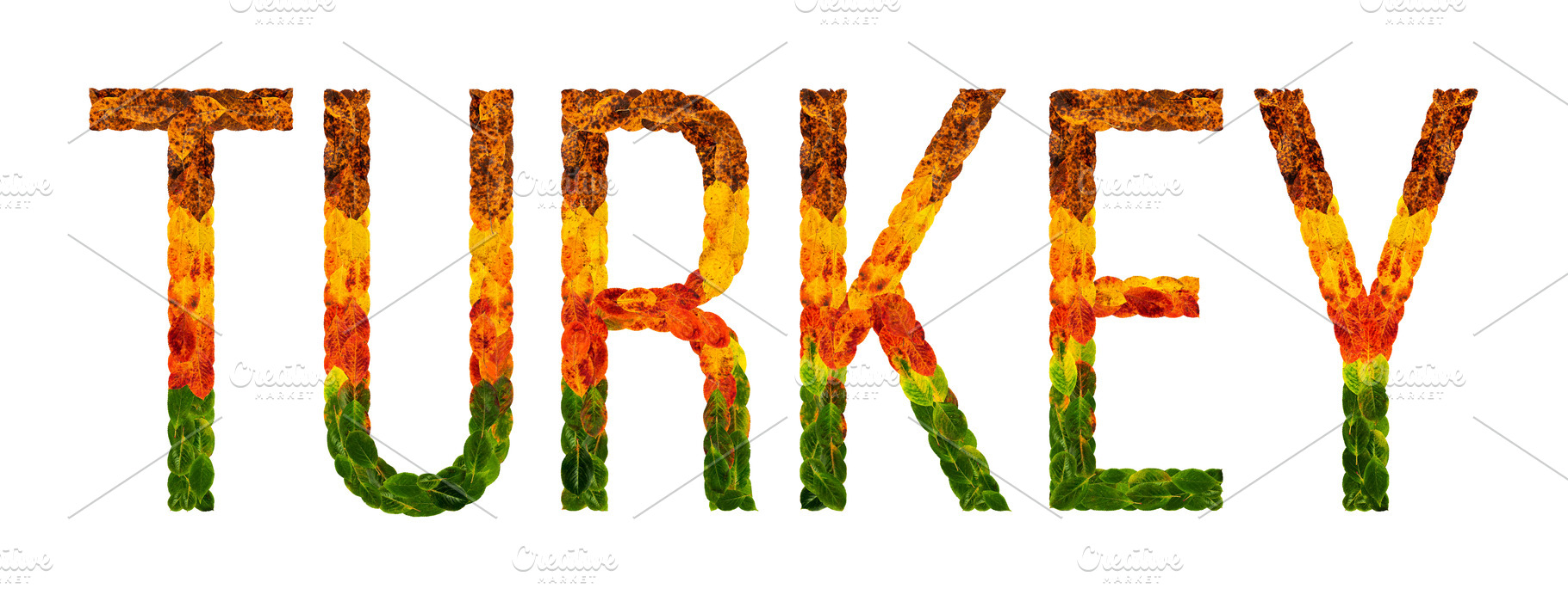 word turkey country is written with leaves on a white insulated ...