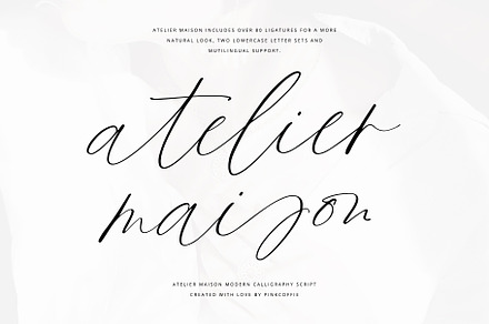 Brachetto Script Font | Script Fonts ~ Creative Market