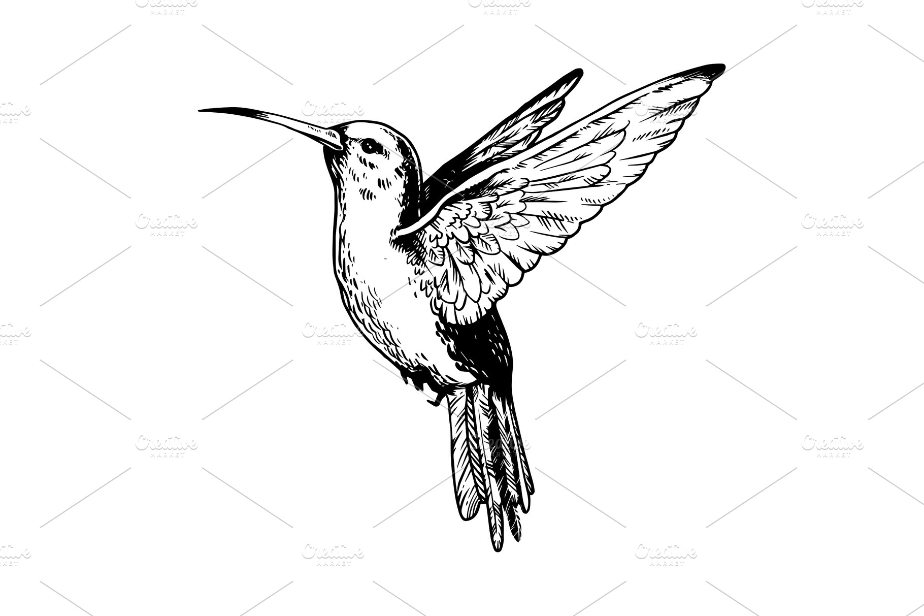 Humming bird engraving vector illustration | Animal Illustrations ...