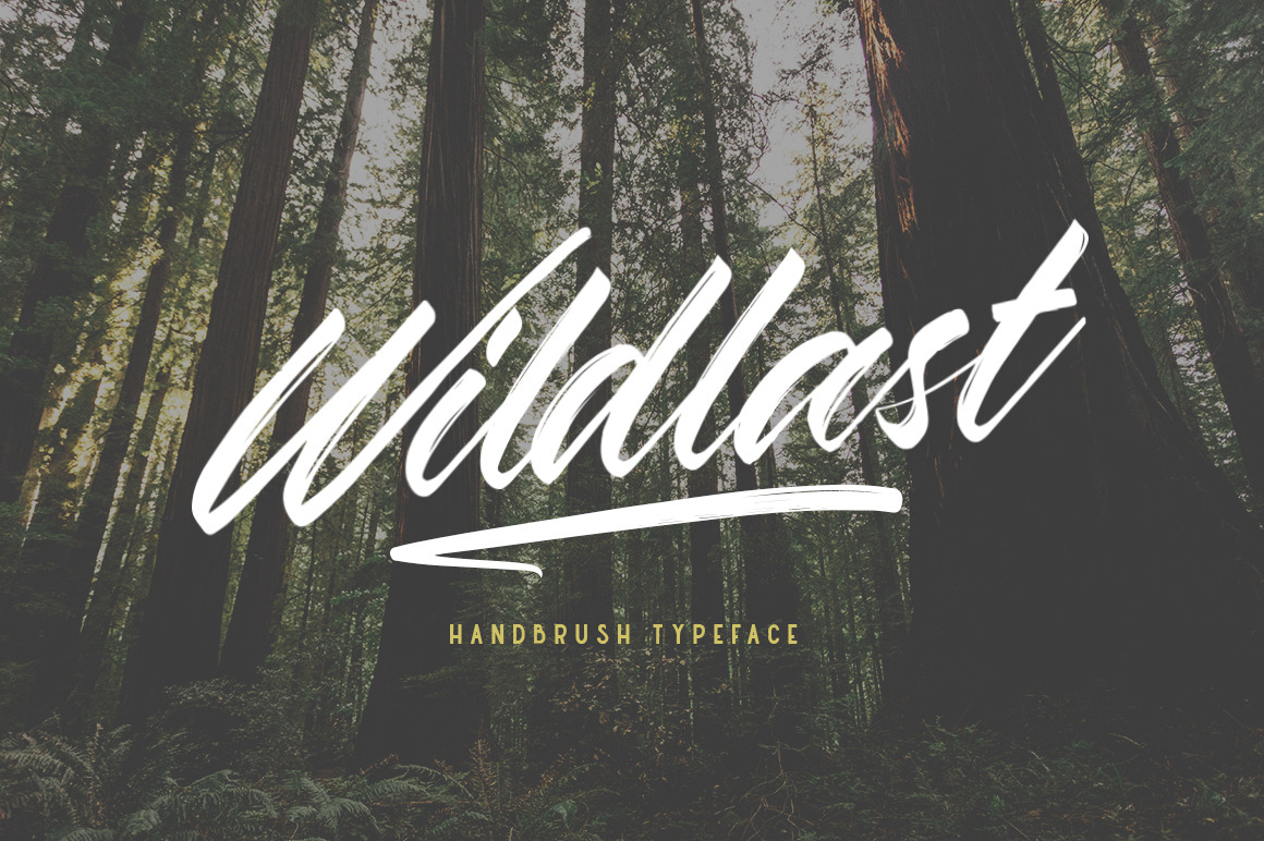 Wildlast Handbrush Typeface | Script Fonts ~ Creative Market