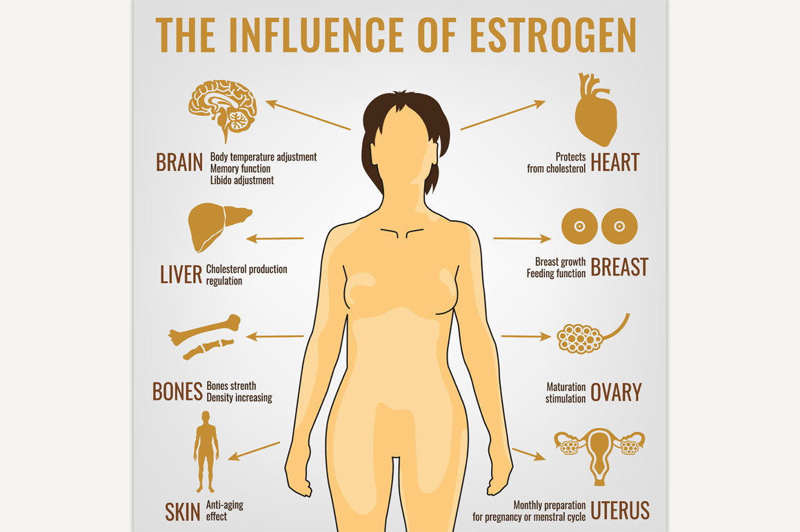 the-influence-of-estrogen-photoshop-graphics-creative-market