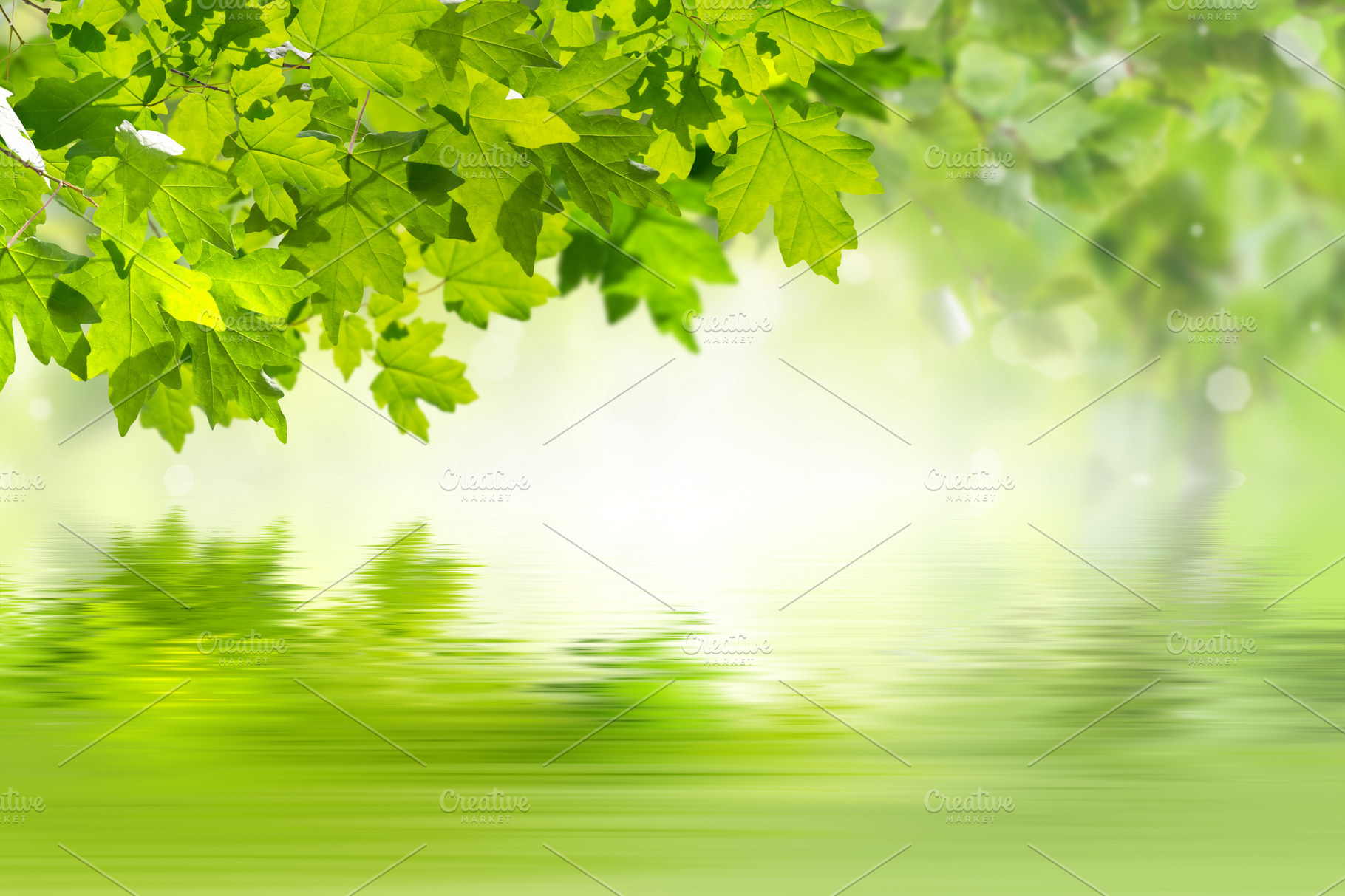 Green nature background | High-Quality Nature Stock Photos ~ Creative