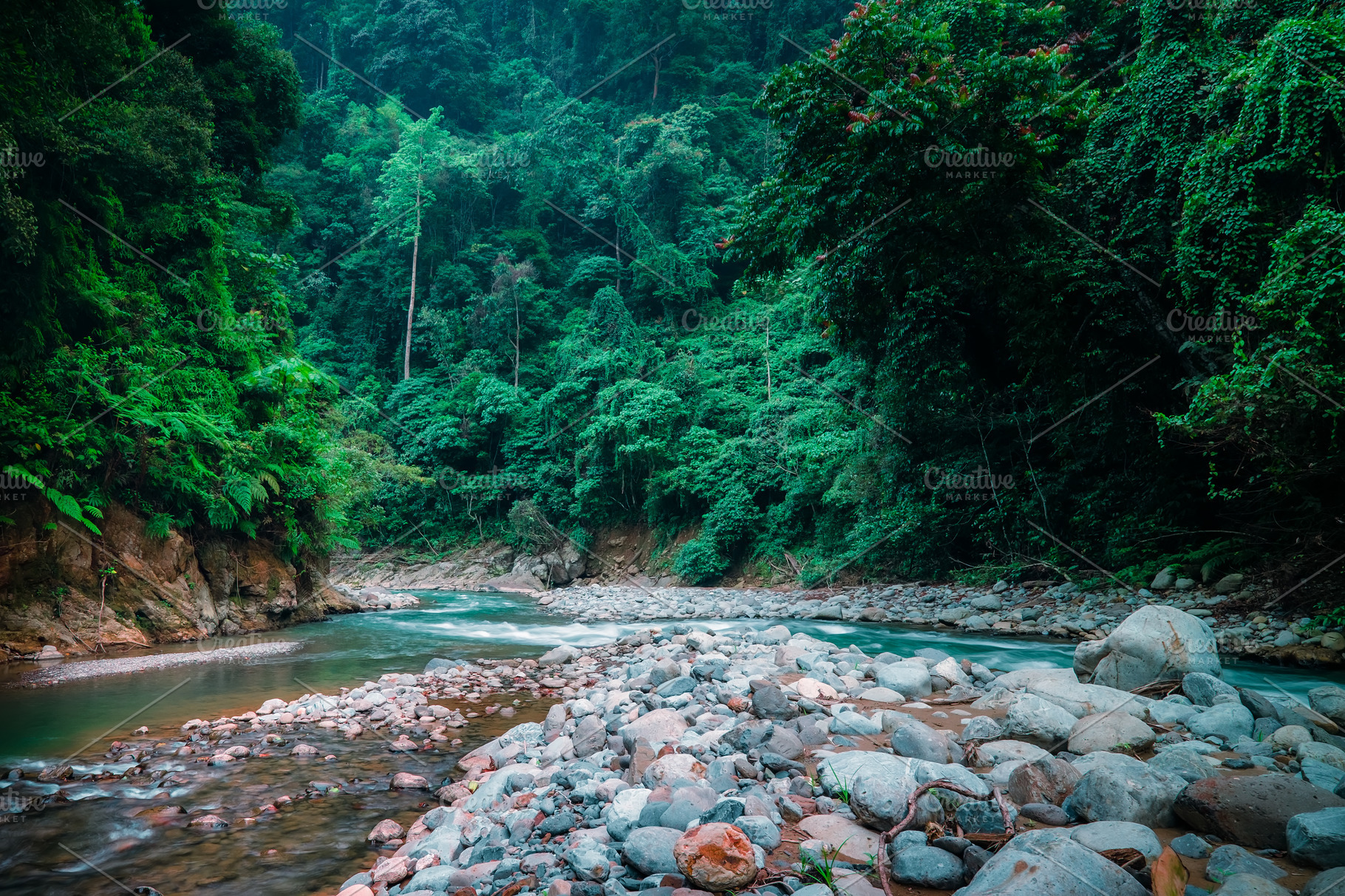 Mysterious Nature  Sumatra  Indonesia High Quality Nature  