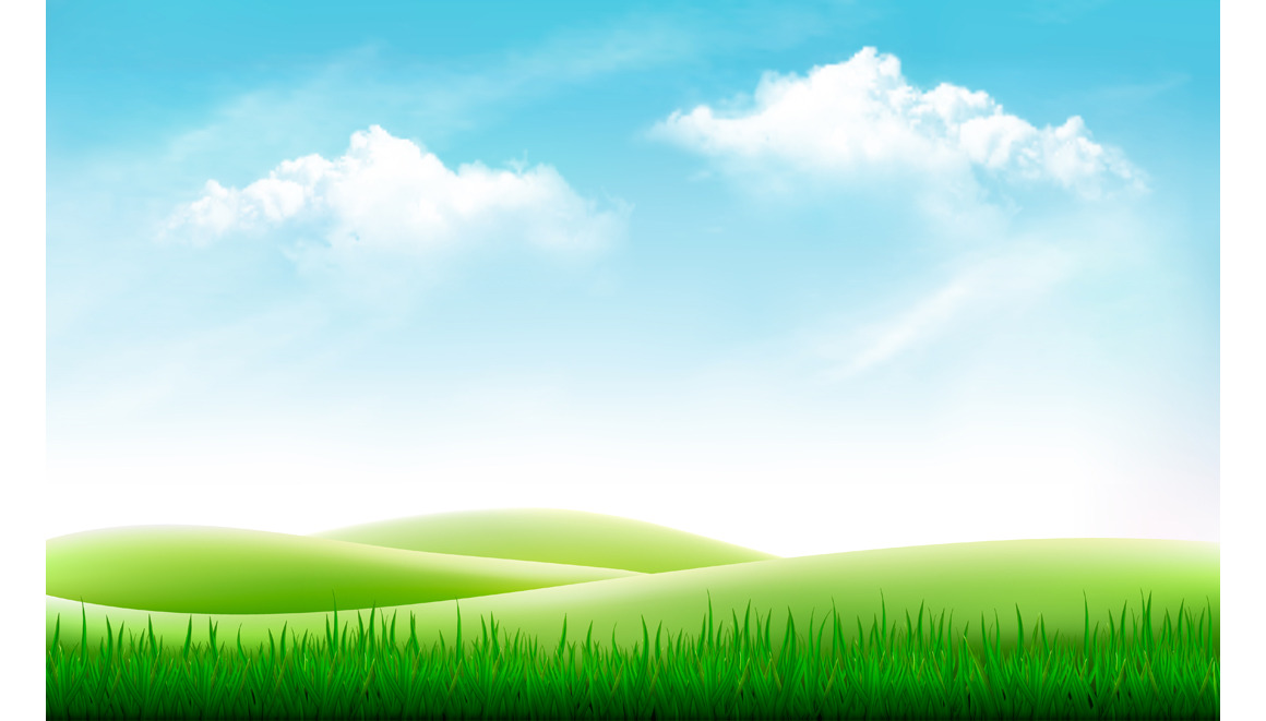 Nature Summer Background With Grass Illustrations Creative Market