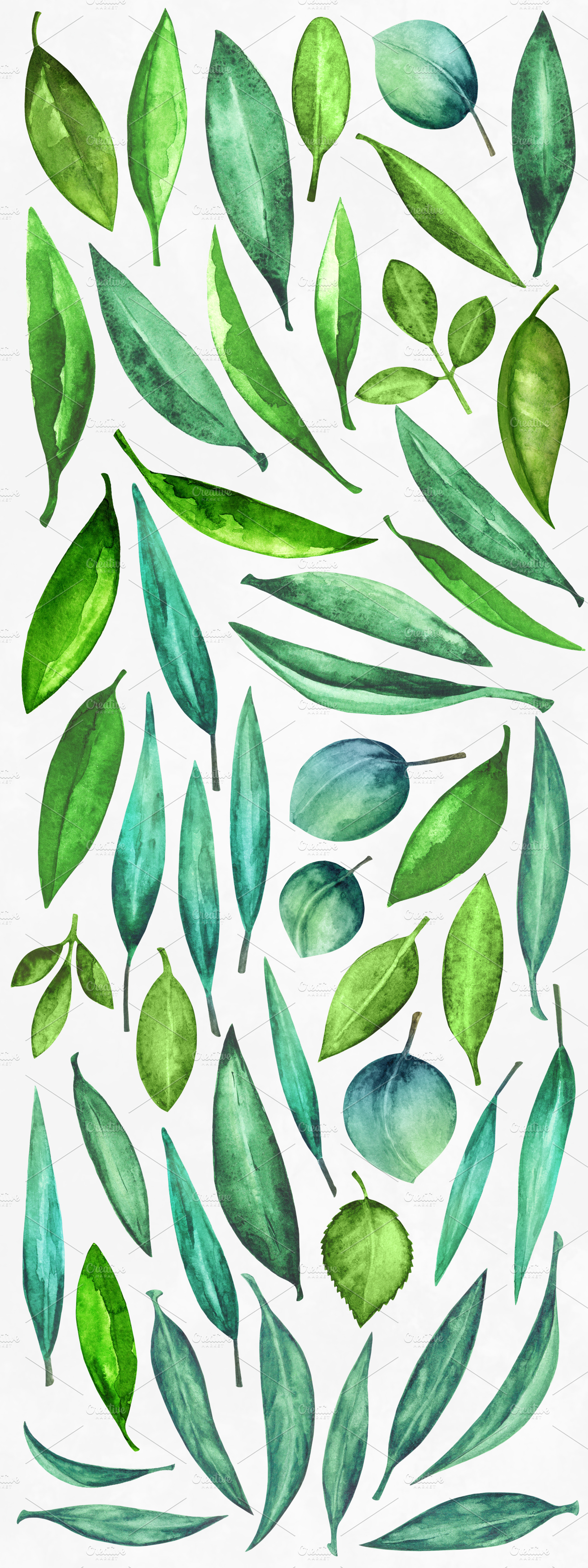 Watercolor Green Leaves | Photoshop Graphics ~ Creative Market