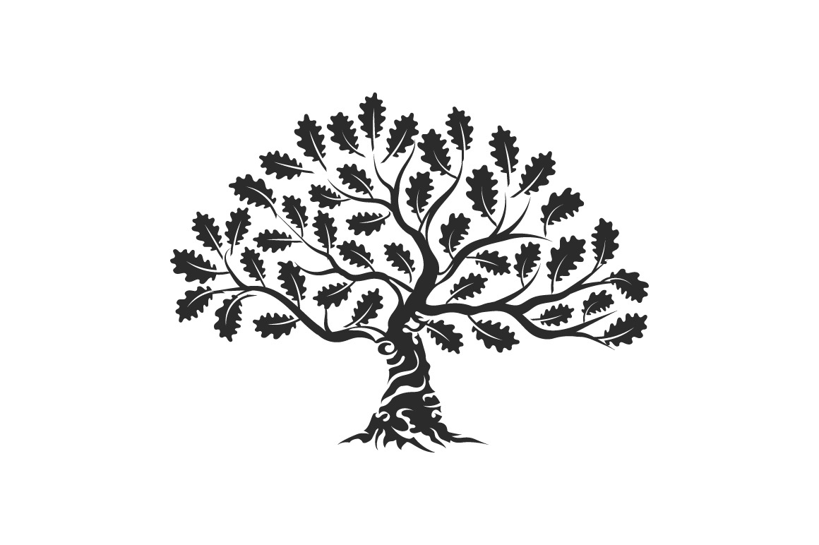 Isolated vector oak tree illustratio | Object Illustrations ~ Creative