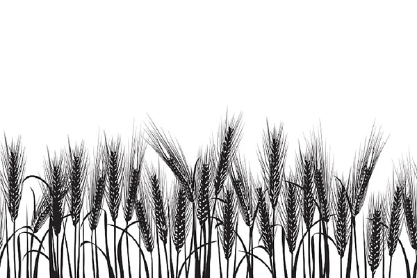 Ears of wheat black pattern | Pre-Designed Photoshop Graphics