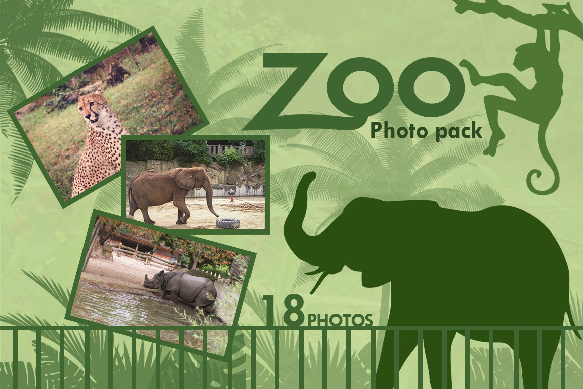 Zoo Photo Pack Animal Stock Photos Creative Market