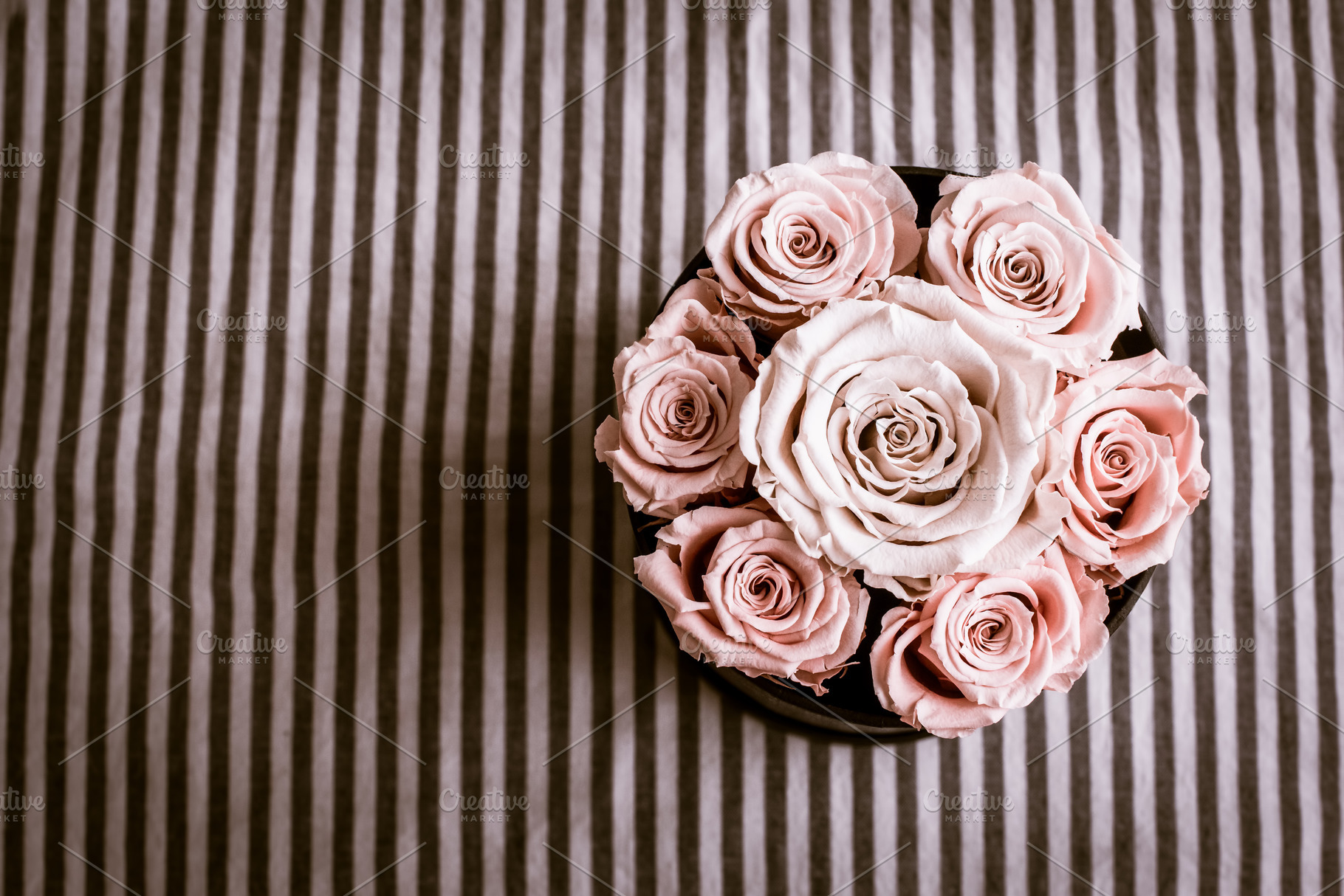 Bouquet of pink rose on stripes background with copy space containing