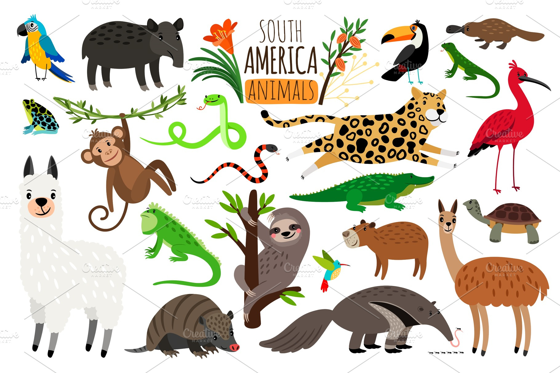 South America animals. Vector cartoon guanaco and iguana, anteater and